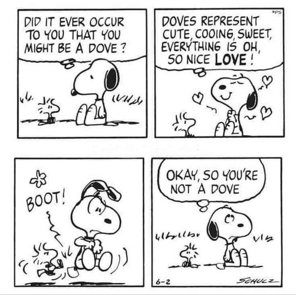 Meet your Posher, Angie - Picture 1 of 1